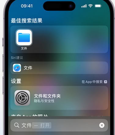 西岗apple维修中心分享iPhone文件应用中存储和找到下载文件 