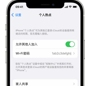 西岗apple服务站点分享iPhone上个人热点丢失了怎么办 