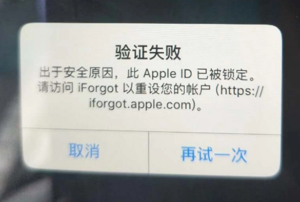 西岗iPhone维修分享iPhone上正常登录或使用AppleID怎么办 