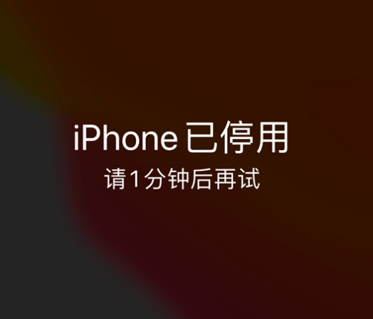 西岗苹果手机维修分享:iPhone 显示“不可用”或“已停用”怎么办？还能保留数据吗？ 