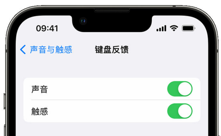 西岗苹果手机维修分享iPhone 14触感键盘使用方法 