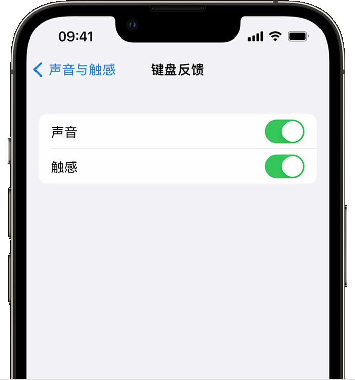 西岗苹果14维修店分享如何在 iPhone 14 机型中使用触感键盘 
