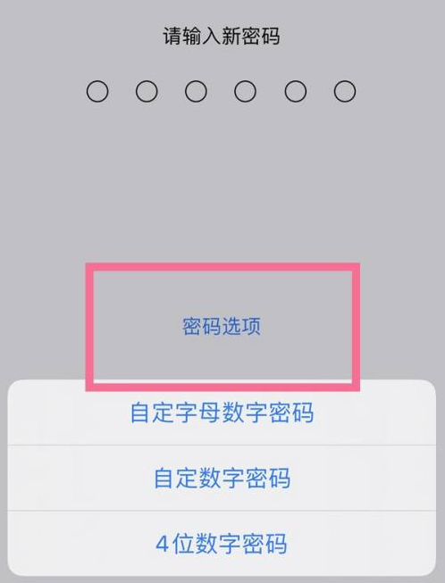 西岗苹果14维修分享iPhone 14plus设置密码的方法 