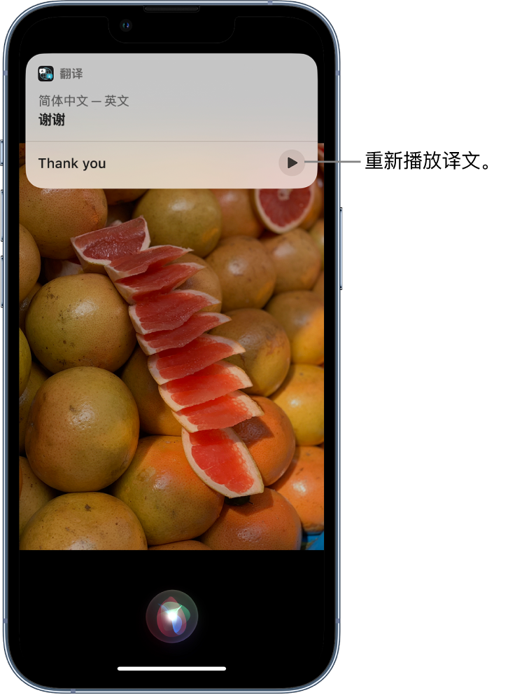 西岗苹果14维修分享 iPhone 14 机型中使用 Siri：了解 Siri 能帮你做什么 