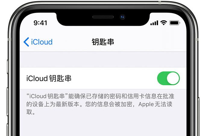西岗苹果手机维修分享在 iPhone 上开启 iCloud 钥匙串之后会储存哪些信息 