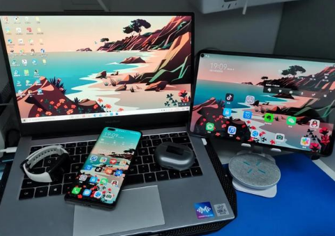 西岗苹果手机维修分享为什么iPad屏幕更大价格却比iPhone低 
