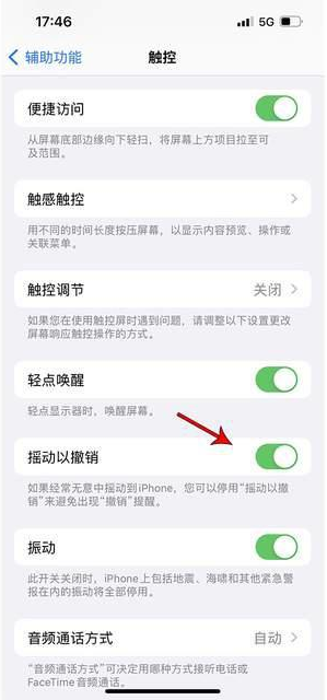 西岗苹果手机维修分享iPhone手机如何设置摇一摇删除文字 
