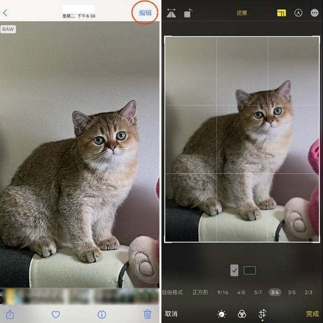 西岗苹果手机维修分享苹果 iPhone 12 Pro 拍照会过度锐化 